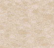 Champane Limestone CaesarStone