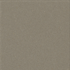 Silestone color GREY EXPO